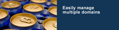 Bulk Domain Management Bulk Domain Management